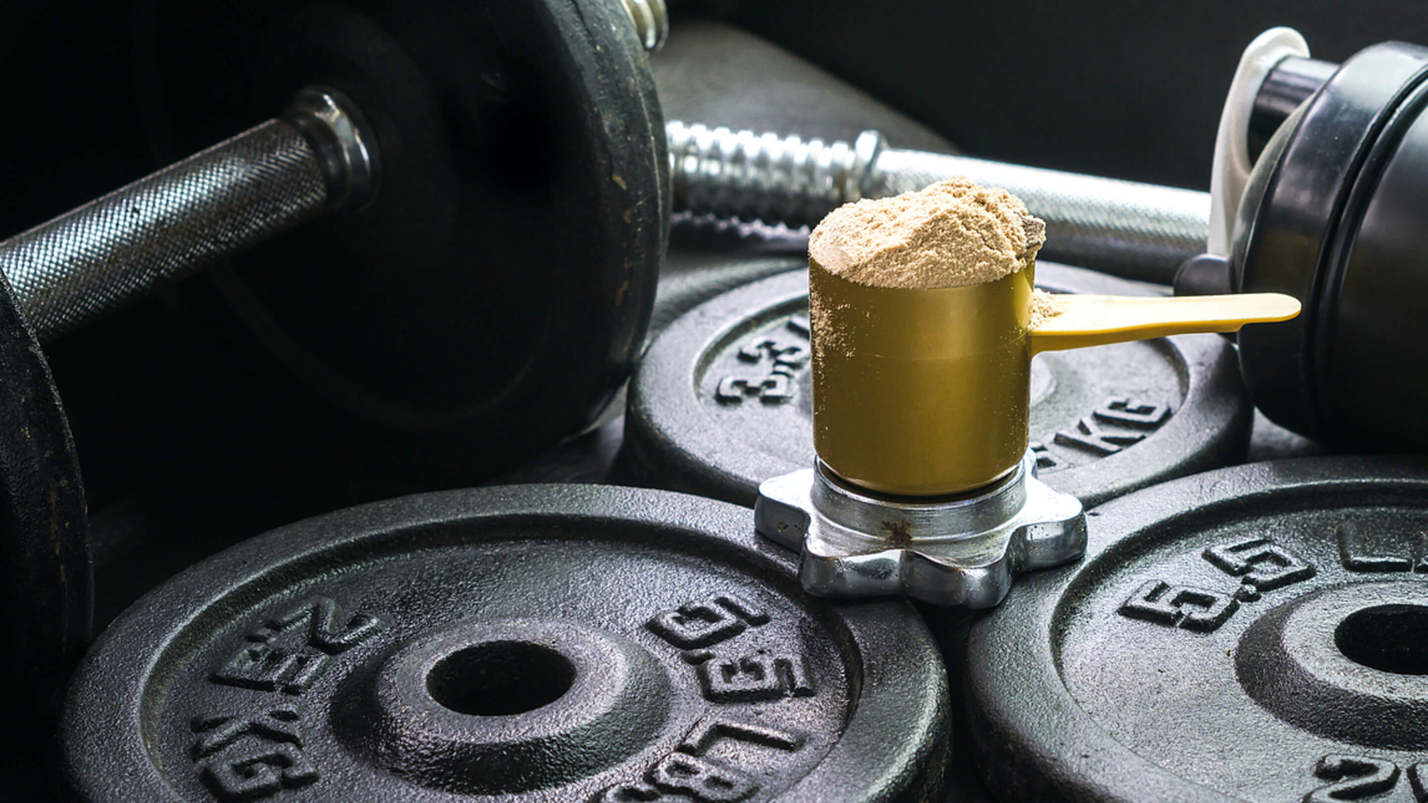 Guide to Protein Powders and Sports Supplements